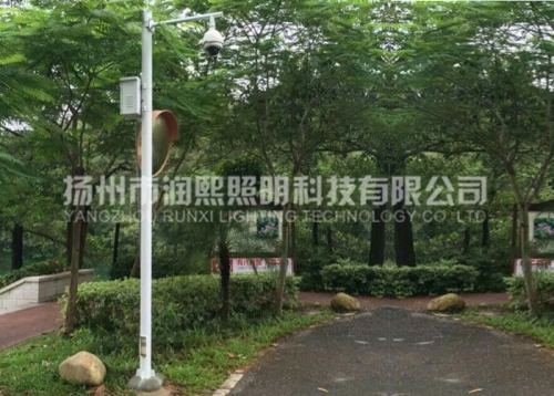 麻豆AV网站在线观看